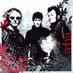 Cover of Analogue