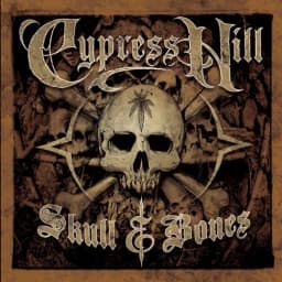 Cover of Skull & Bones