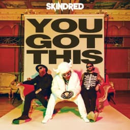 Cover of You Got This