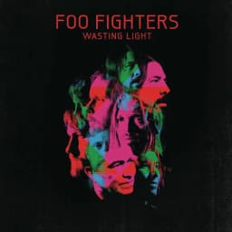 Capa de Wasting Light