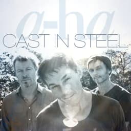 Cover of Cast in Steel
